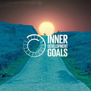 Inner Development Goals (IDGs)